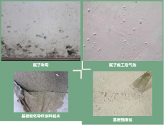 k豆钱包官方网站 - KDpay钱包