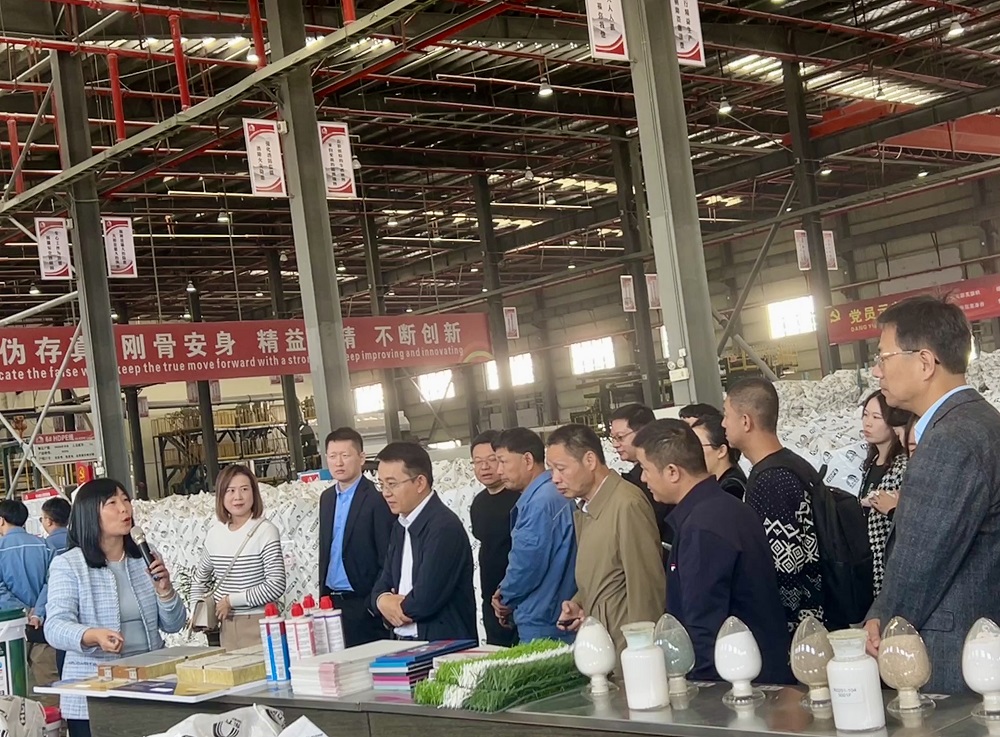 k豆钱包官方网站 - KDpay钱包